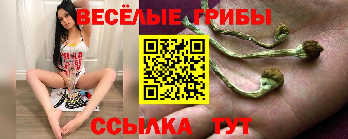 Нефтеюганск  Псилоцибиновые грибы Magic Shrooms  Вход с VPN  Псилоцибиновые грибы MAGIC MUSHROOMS 