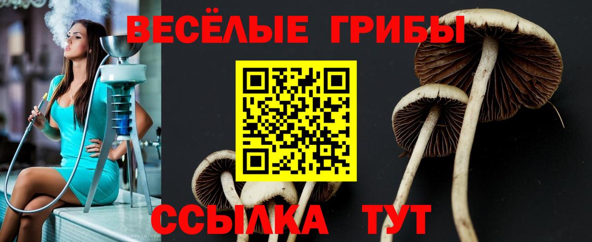 Галлюциногенные грибы Magic Shrooms Нефтеюганск